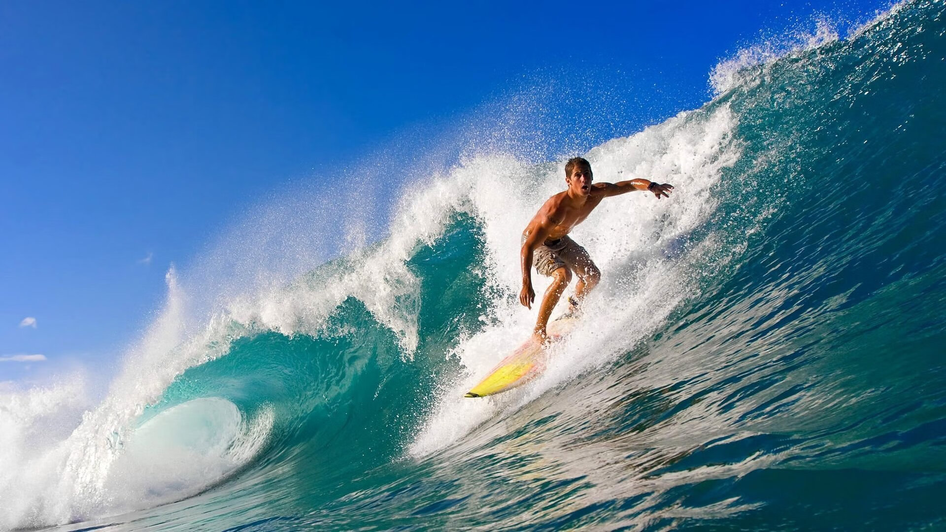 那不勒斯球迷现场助威,为球队鼓与呼,那不勒斯集锦